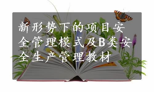 新形势下的项目安全管理模式及B类安全生产管理教材