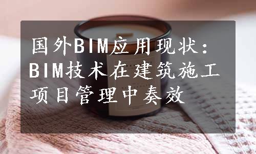 国外BIM应用现状：BIM技术在建筑施工项目管理中奏效