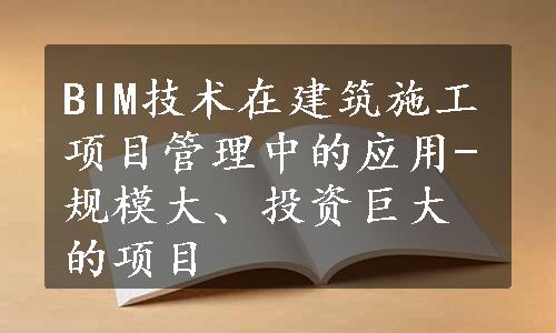 BIM技术在建筑施工项目管理中的应用-规模大、投资巨大的项目