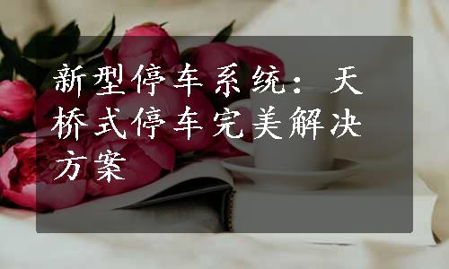 新型停车系统：天桥式停车完美解决方案