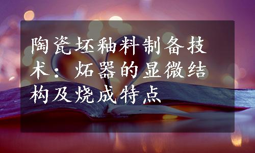 陶瓷坯釉料制备技术：炻器的显微结构及烧成特点