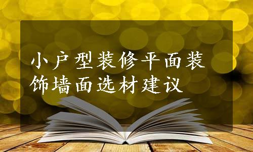 小户型装修平面装饰墙面选材建议