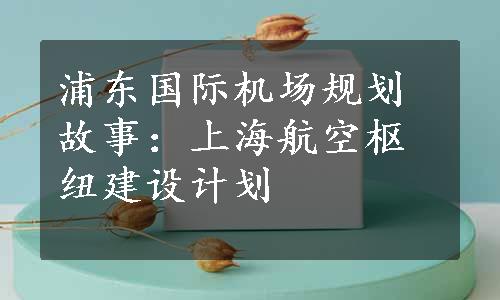 浦东国际机场规划故事：上海航空枢纽建设计划