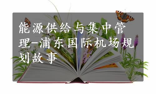 能源供给与集中管理-浦东国际机场规划故事