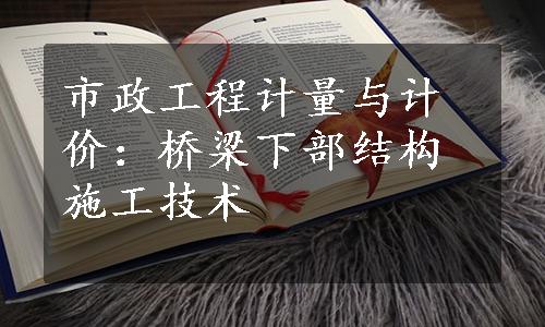 市政工程计量与计价：桥梁下部结构施工技术