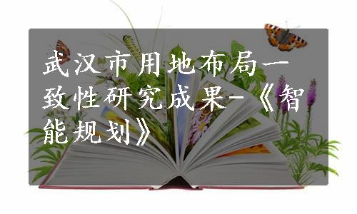 武汉市用地布局一致性研究成果-《智能规划》