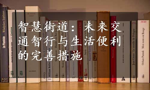 智慧街道：未来交通智行与生活便利的完善措施