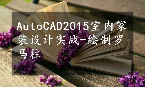 AutoCAD2015室内家装设计实战-绘制罗马柱