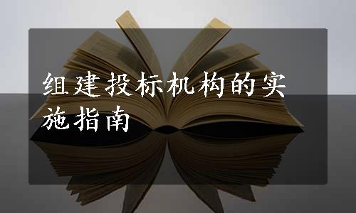 组建投标机构的实施指南