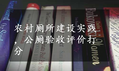 农村厕所建设实践，公厕验收评价打分