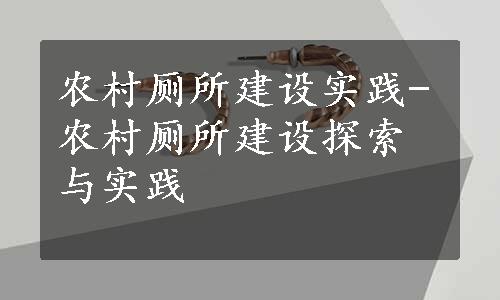 农村厕所建设实践-农村厕所建设探索与实践