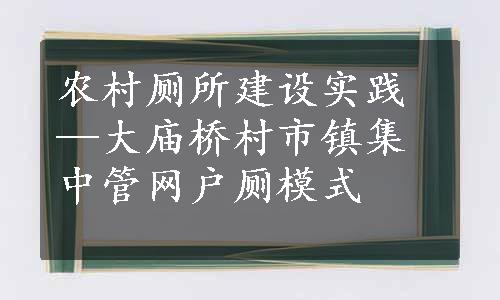 农村厕所建设实践—大庙桥村市镇集中管网户厕模式