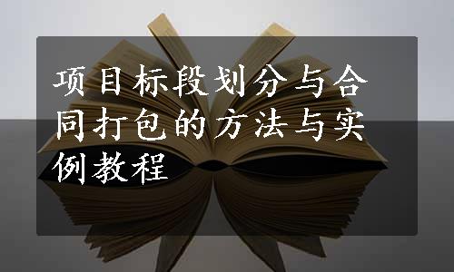 项目标段划分与合同打包的方法与实例教程