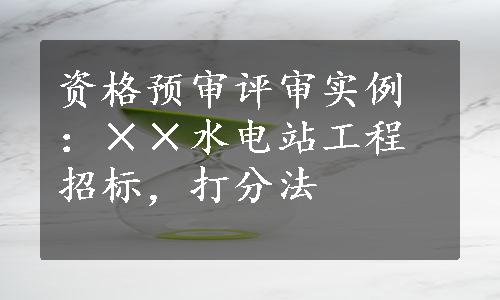 资格预审评审实例：××水电站工程招标，打分法