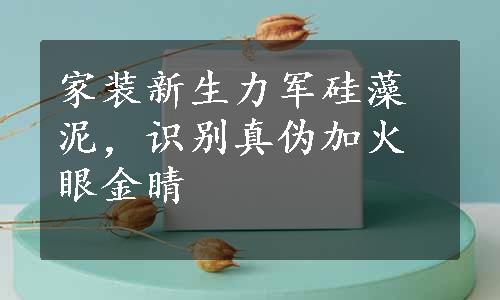 家装新生力军硅藻泥，识别真伪加火眼金睛