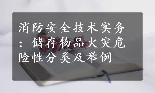 消防安全技术实务：储存物品火灾危险性分类及举例