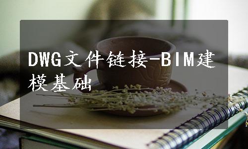 DWG文件链接-BIM建模基础