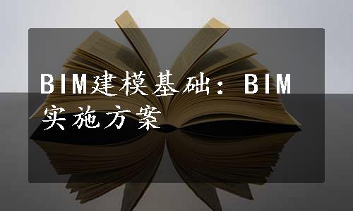 BIM建模基础：BIM实施方案