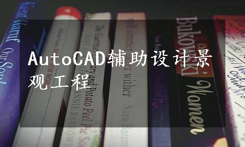 AutoCAD辅助设计景观工程