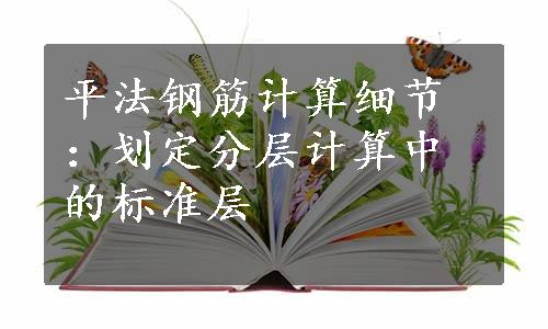 平法钢筋计算细节：划定分层计算中的标准层