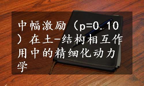 中幅激励（p=0.10）在土-结构相互作用中的精细化动力学