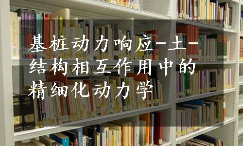 基桩动力响应-土-结构相互作用中的精细化动力学