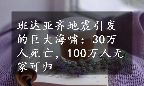 班达亚齐地震引发的巨大海啸：30万人死亡，100万人无家可归