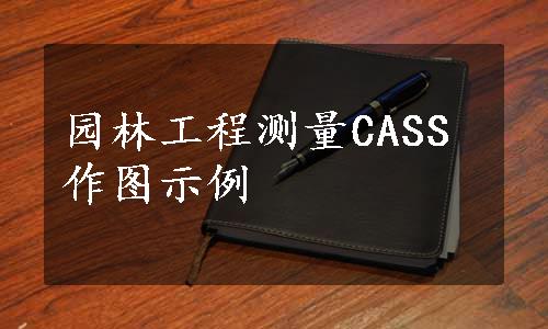 园林工程测量CASS作图示例