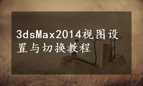 3dsMax2014视图设置与切换教程