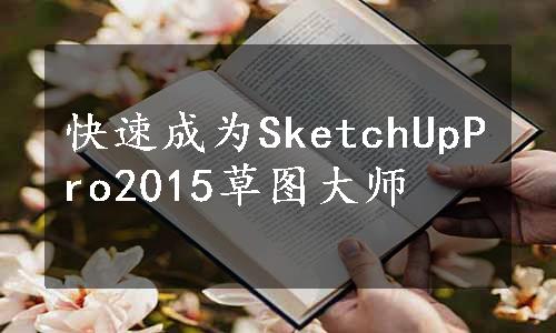 快速成为SketchUpPro2015草图大师