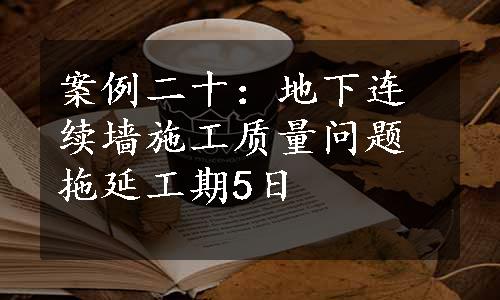 案例二十：地下连续墙施工质量问题拖延工期5日