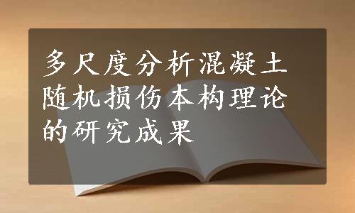 多尺度分析混凝土随机损伤本构理论的研究成果