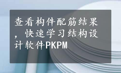 查看构件配筋结果，快速学习结构设计软件PKPM