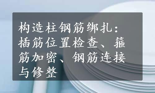 构造柱钢筋绑扎：插筋位置检查、箍筋加密、钢筋连接与修整