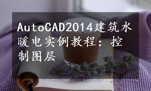 AutoCAD2014建筑水暖电实例教程：控制图层