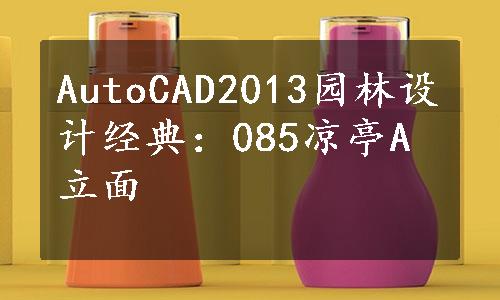 AutoCAD2013园林设计经典：085凉亭A立面