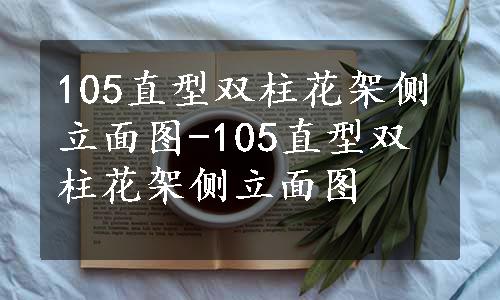 105直型双柱花架侧立面图-105直型双柱花架侧立面图