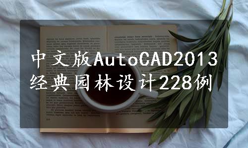 中文版AutoCAD2013经典园林设计228例