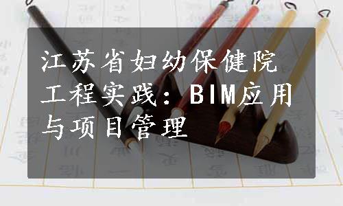 江苏省妇幼保健院工程实践：BIM应用与项目管理