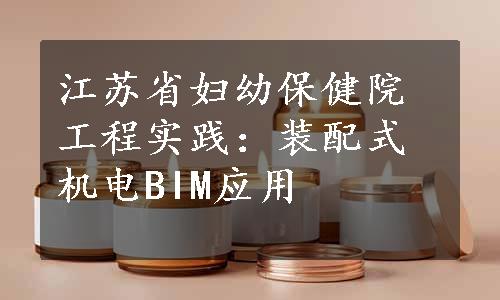 江苏省妇幼保健院工程实践：装配式机电BIM应用