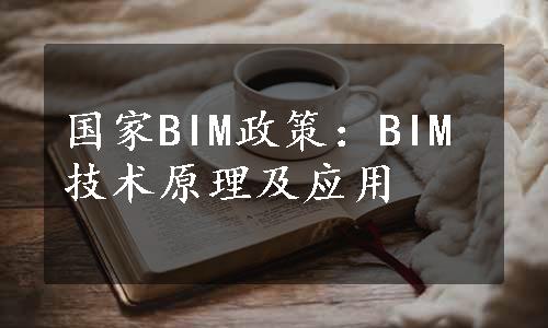 国家BIM政策：BIM技术原理及应用