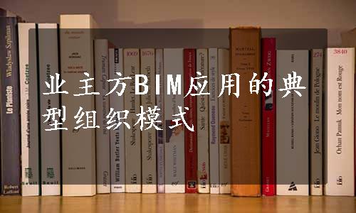 业主方BIM应用的典型组织模式