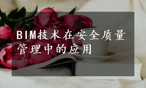 BIM技术在安全质量管理中的应用