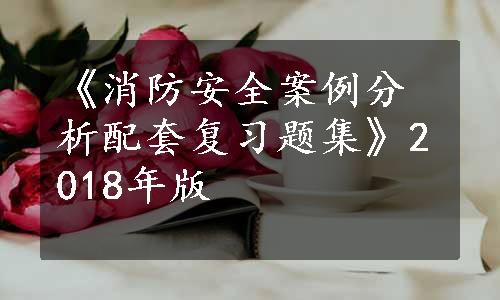 《消防安全案例分析配套复习题集》2018年版