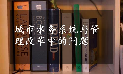 城市水务系统与管理改革中的问题