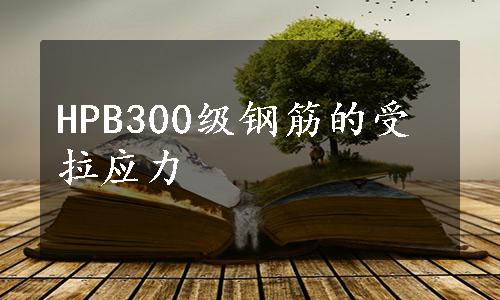 HPB300级钢筋的受拉应力