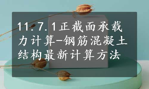 11.7.1正截面承载力计算-钢筋混凝土结构最新计算方法