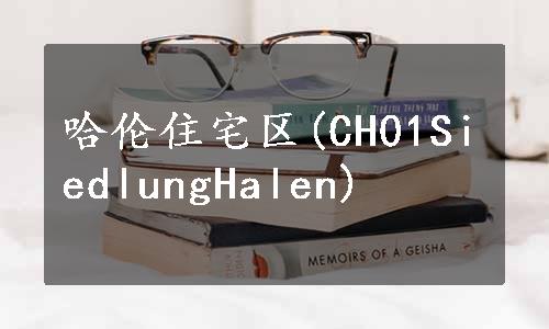 哈伦住宅区(CH01SiedlungHalen)