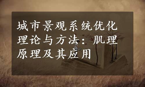 城市景观系统优化理论与方法：肌理原理及其应用