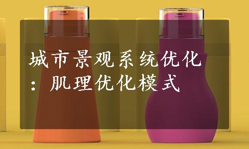 城市景观系统优化：肌理优化模式